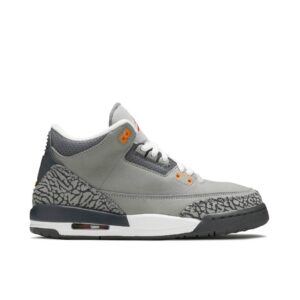 Jordan 3 Retro Cool Grey (2021) (GS) 398614-012 - Brosneaker photo 1