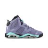 Jordan 6 Retro Iron Purple (GS) 543390-508 - Brosneaker photo 1