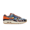 Nike Air Max 1 SP Concepts Heavy DN1803-900 - Brosneaker photo 1
