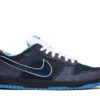 Nike SB Dunk Low Concepts Blue Lobster 313170-342 - Brosneaker photo 1