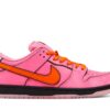 Nike SB Dunk Low The Powerpuff Girls Blossom FD2631-600 - Brosneaker photo 1